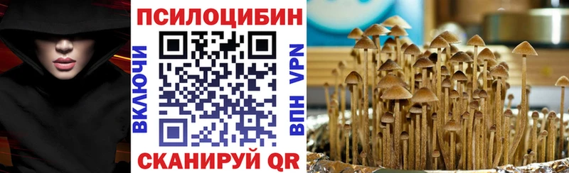 МЕГА как зайти  Инсар  Галлюциногенные грибы мухоморы  цена  