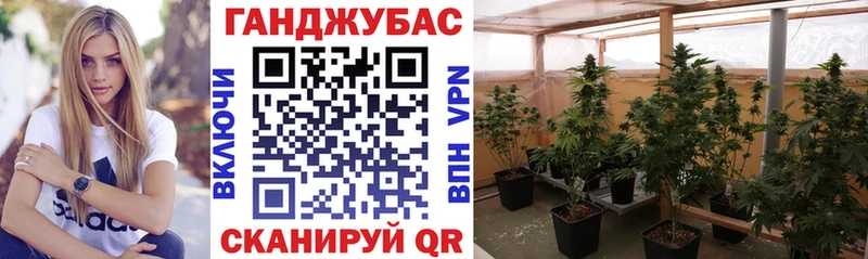 Каннабис White Widow  Инсар 
